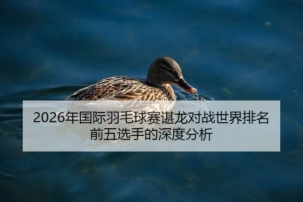2026年国际羽毛球赛谌龙对战世界排名前五选手的深度分析