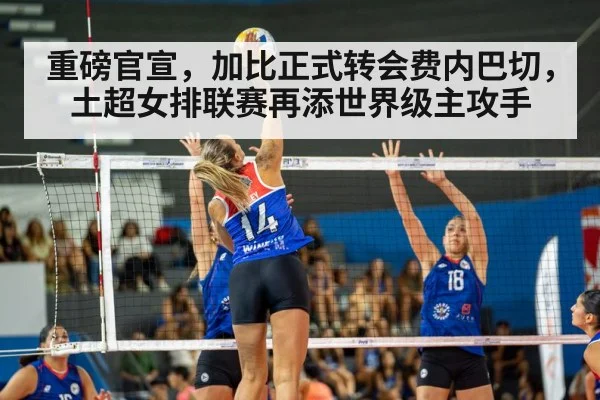volleyball match