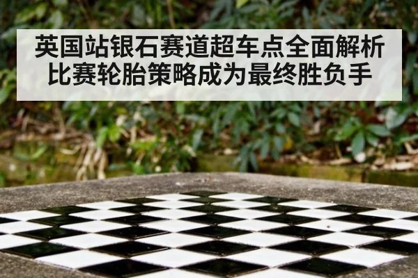 英国站银石赛道超车点全面解析比赛轮胎策略成为最终胜负手